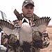 Lake Region Hunting