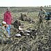 Lake Region Hunting