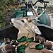 Lake Region Hunting