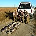 Lake Region Hunting