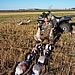 Devils Lake Hunting