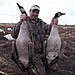 Devils Lake Geese