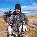 Devils Lake Geese